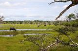 Yala National Park
